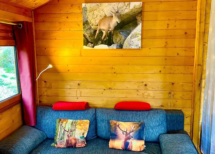 Chalet sur pilotis accès Spa